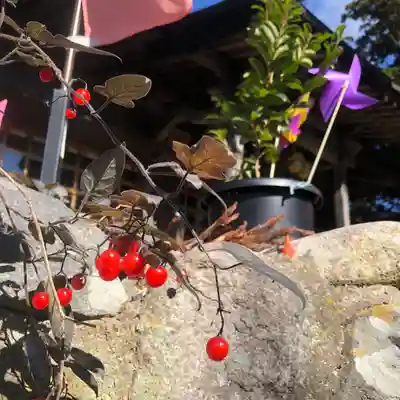 高司神社〜むすびの神の鎮まる社〜(福島県)