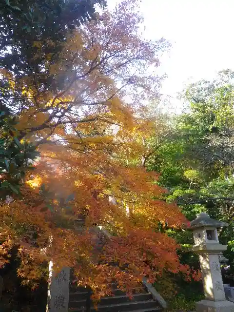 長勝寺の自然