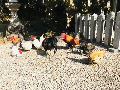 石上神宮(奈良県)