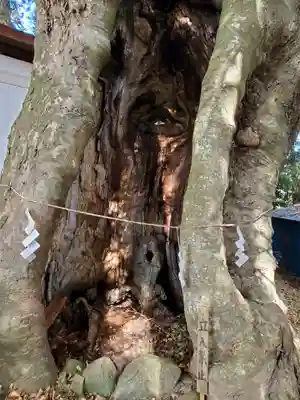 黒沼神社(福島県)