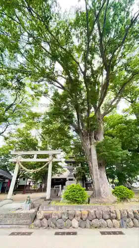 白鳥神社(長野県)