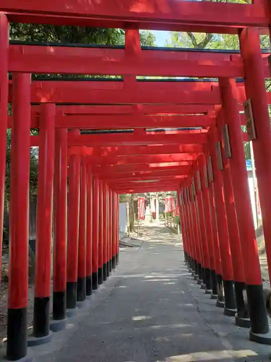 五社稲荷社の鳥居