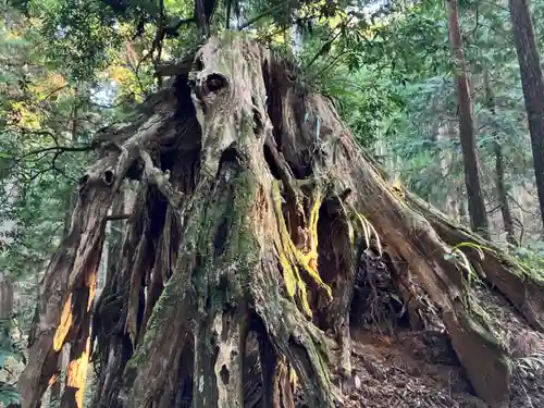 最乗寺（道了尊）(神奈川県)