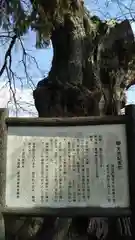 桂木稲荷神社の歴史