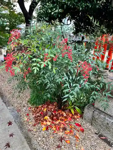 三輪神社の庭園