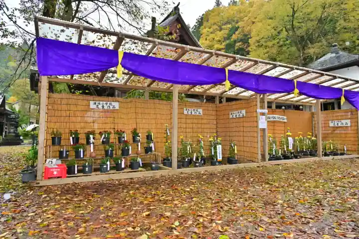 普光寺(新潟県)