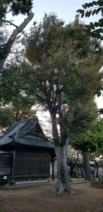 上小岩天祖神社のその他建物