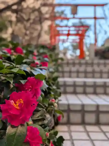 銀世界稲荷神社(東京都)