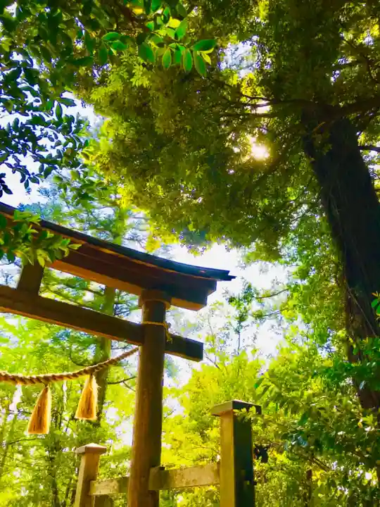 成田熊野神社の鳥居