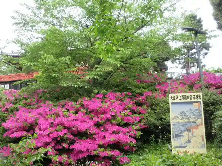 清水観音堂(東京都)