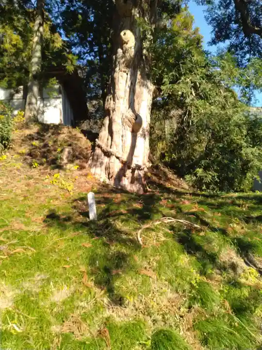 福応寺(宮城県)