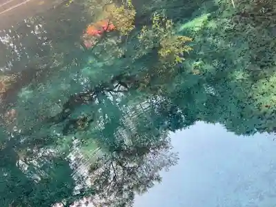 嚴島神社の自然