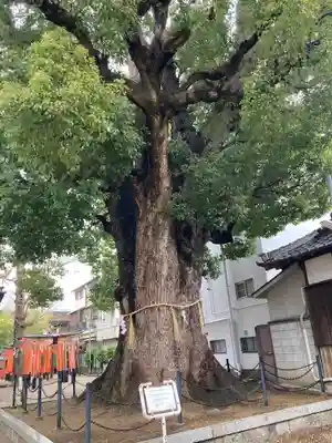 島頭天満宮(大阪府)