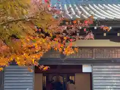 長壽寺（長寿寺）の自然