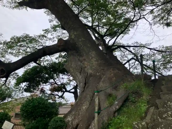 六代山不動院(神奈川県)