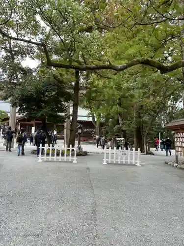 猿田彦神社の建物その他