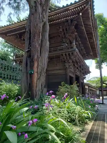 妙法寺の山門