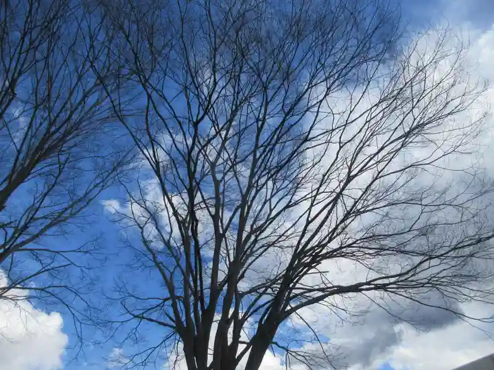 妙見宮(埼玉県)