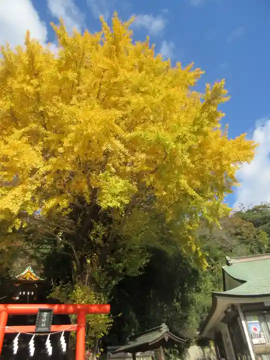 雷神社の自然
