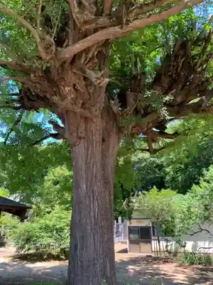 瀧水寺(千葉県)