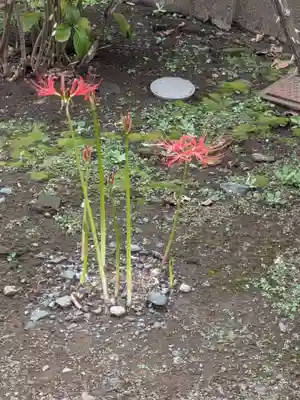 正行院(東京都)