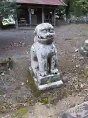 千養寺の狛犬