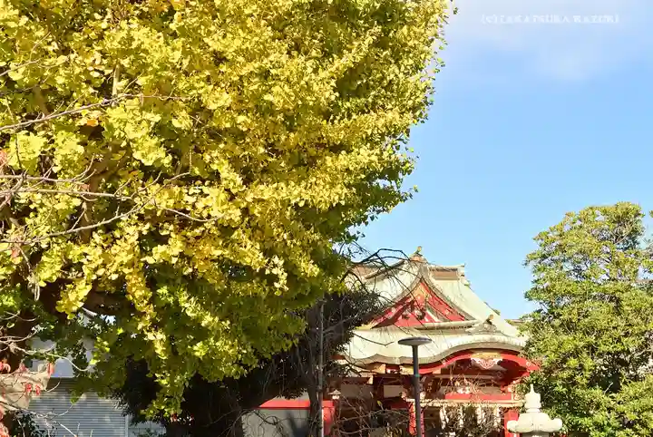 潮田神社のその他建物