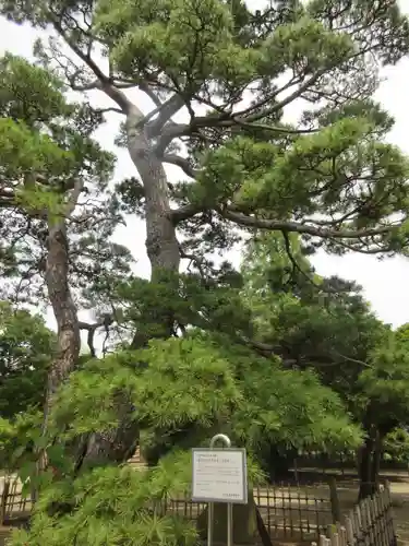 滑河山龍正院のその他建物