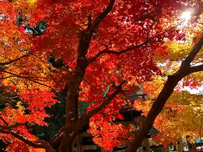 丹生都比売神社(和歌山県)