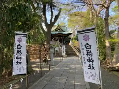 白旗神社(神奈川県)