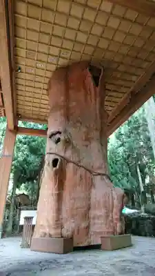 国造神社のその他建物