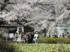 実相寺の周辺