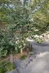 上知我麻神社（熱田神宮摂社）の自然