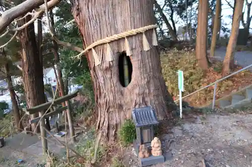 阿久津「田村神社」（郡山市阿久津町）旧社名：伊豆箱根三嶋三社の自然