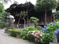 白山神社の本殿・本堂
