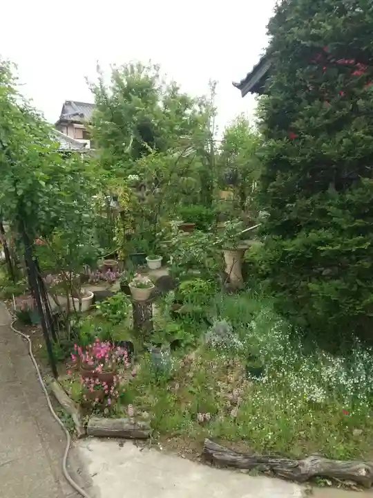 清浄院(埼玉県)