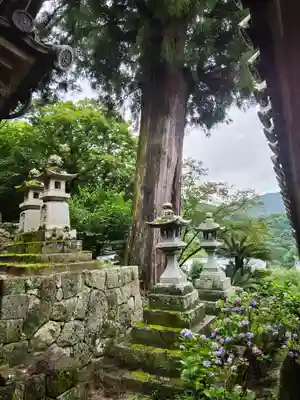 長谷寺(奈良県)
