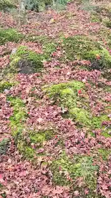 天龍寺(京都府)