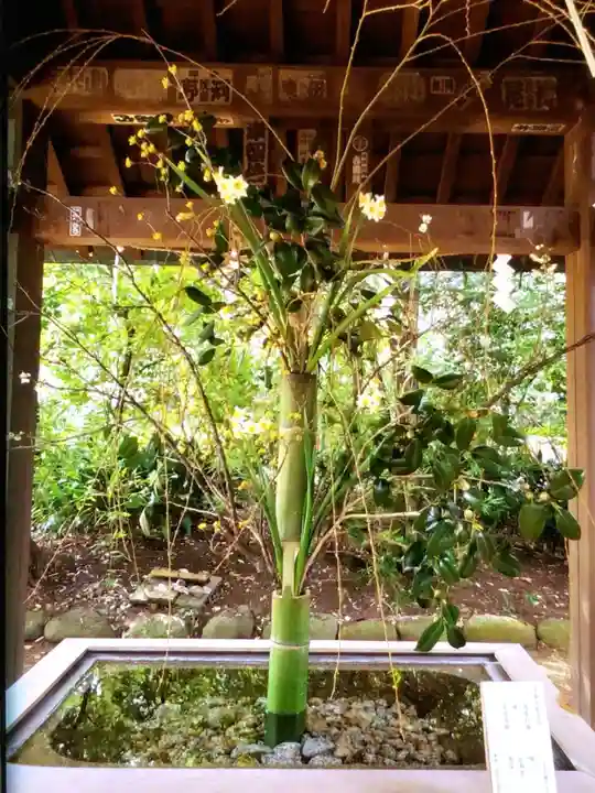 赤坂氷川神社(東京都)