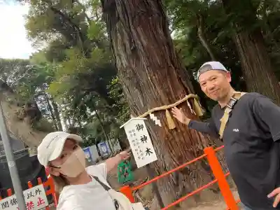 息栖神社(茨城県)