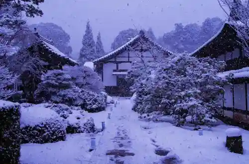 雲龍院の庭園