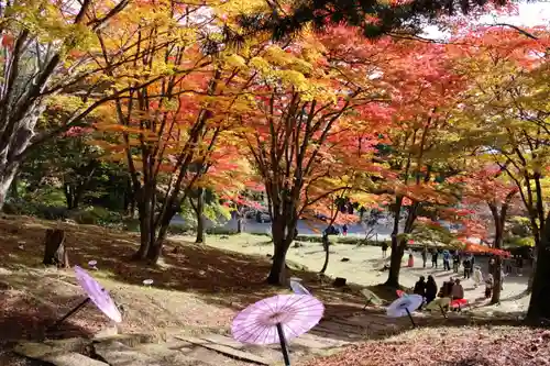 土津神社｜こどもと出世の神さまの景色