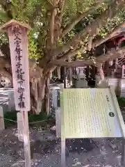 秩父神社(埼玉県)