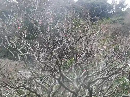 光則寺(神奈川県)