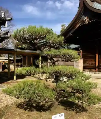 神明社のその他建物