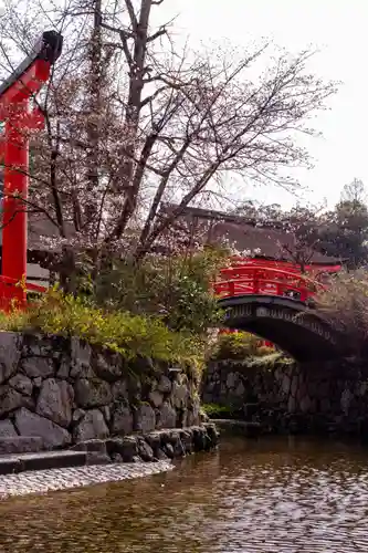 賀茂御祖神社（下鴨神社）の景色