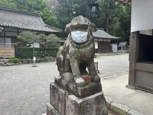 伊和神社の狛犬