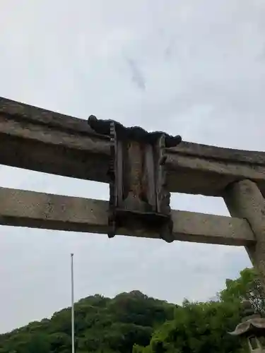 鶴羽根神社の鳥居