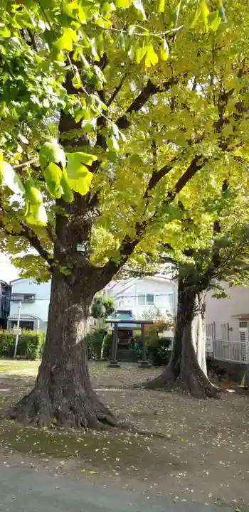 五北天祖神社の鳥居