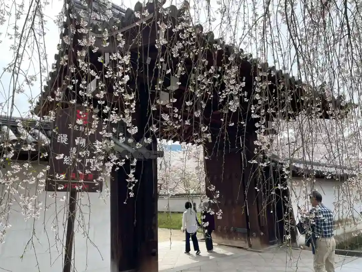 醍醐寺(京都府)